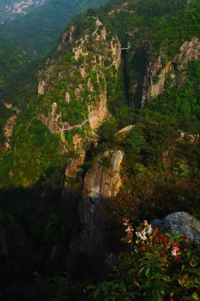 浙江天台山5A级景区居然对摄影家做了这样的事！