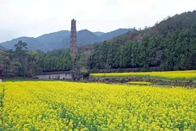 浙江天台山5A级景区居然对摄影家做了这样的事！