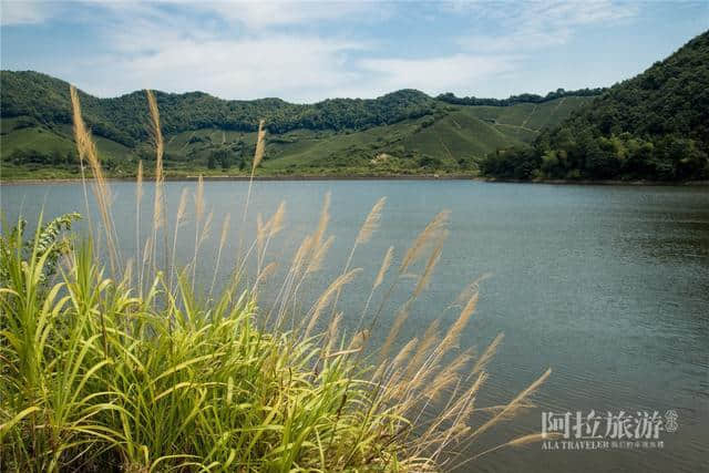 自驾游奉化，不可错过湖边的最美秋色 |湖泊系列11