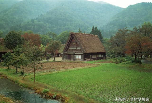 农村旅游业如以这些项目发展，应很吃香