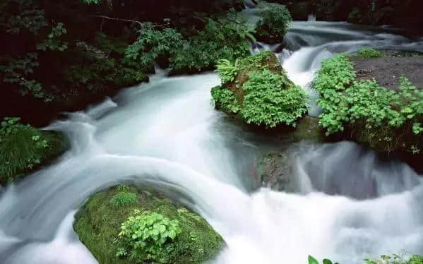 宁阳古八景你知道吗？