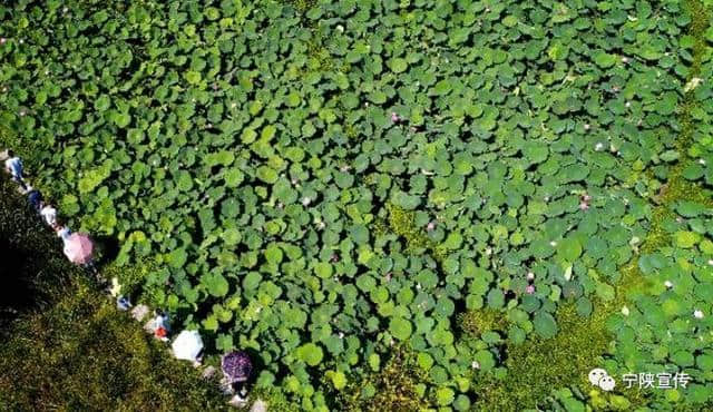 陕西省第三批旅游示范县创建 请为宁陕投一票~