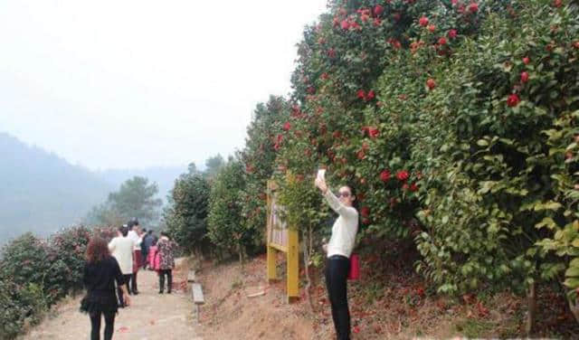 武汉周边游之荆门旅游景点推荐及游玩攻略