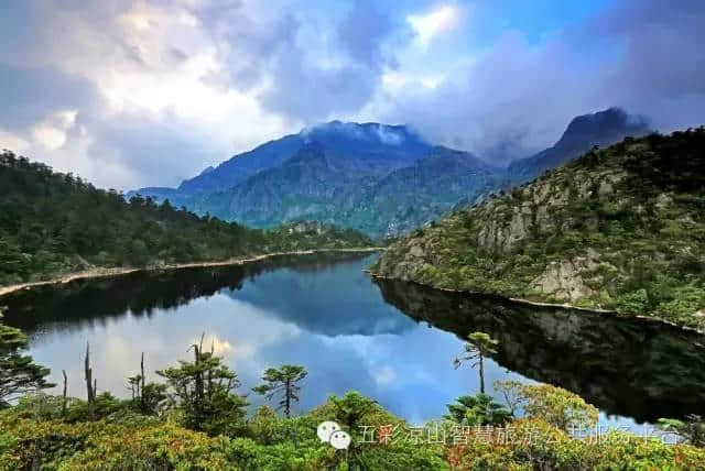 凉山资讯｜“凉山—佛山产业对接座谈会”在西昌召开