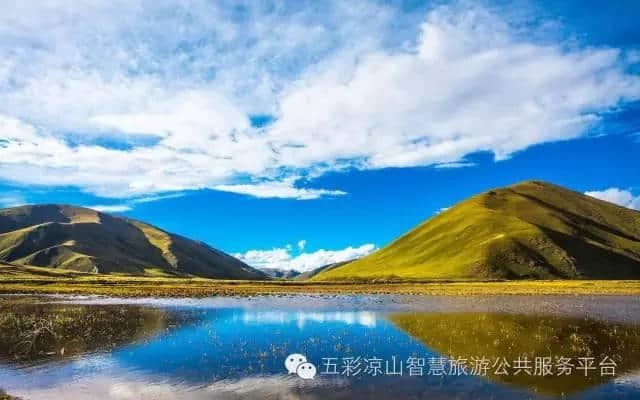 凉山资讯｜“凉山—佛山产业对接座谈会”在西昌召开