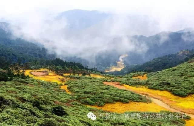 凉山资讯｜“凉山—佛山产业对接座谈会”在西昌召开