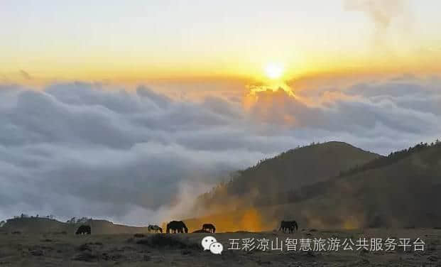 凉山资讯｜“凉山—佛山产业对接座谈会”在西昌召开