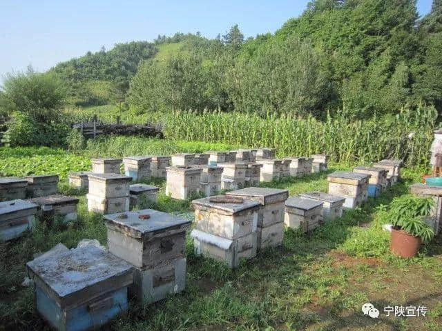 全域旅游｜产业加速宁陕旅游再腾飞