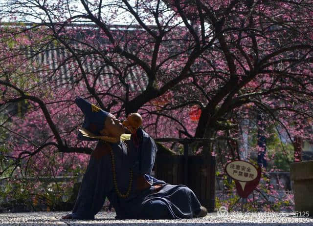 【天台】济公故居的梅花开了