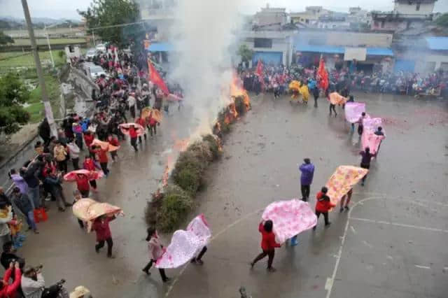 绝色花海、夏日乐园…… 佛冈这个地方，串起了最美风景线！