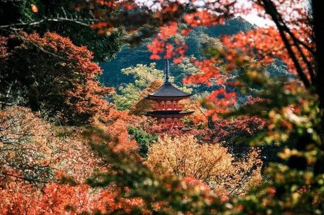 错峰旅游白菜价！机票低至百元，这些国家绝美好玩，帮你省几亿！