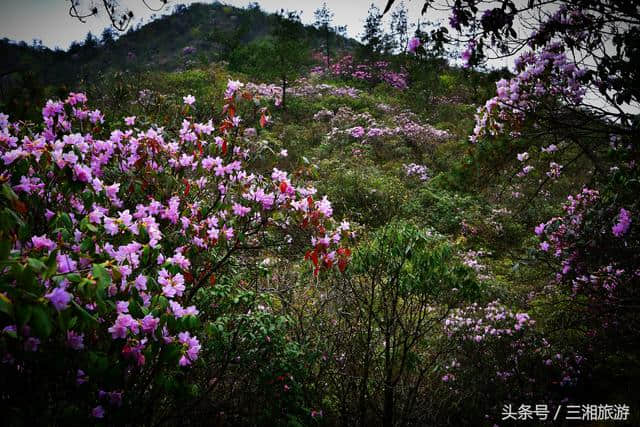 株洲再添旅游新景，3个国家AAA级景区呼之欲出