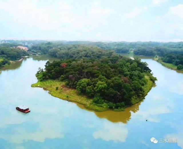 看浪漫花海、住特色木屋……佛山这个小镇，总能给你惊喜！