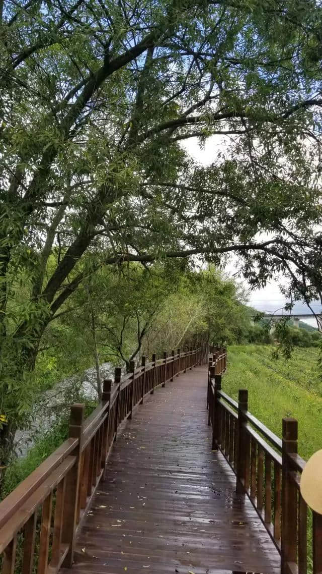 大山里有个“涂鸦村”，还有栈道，听说很美！