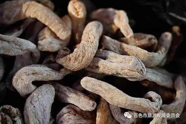 推荐 | 靖西端午药市明天开始啦，你可以在这里逛药市、购药材、看表演……