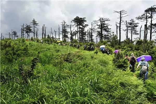 爱我，就请带我去宁波的“美丽乡村”看看