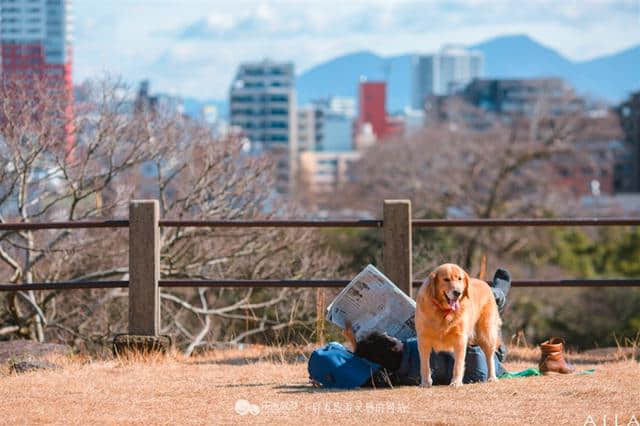 闲逛也是种旅行 福冈慢时光