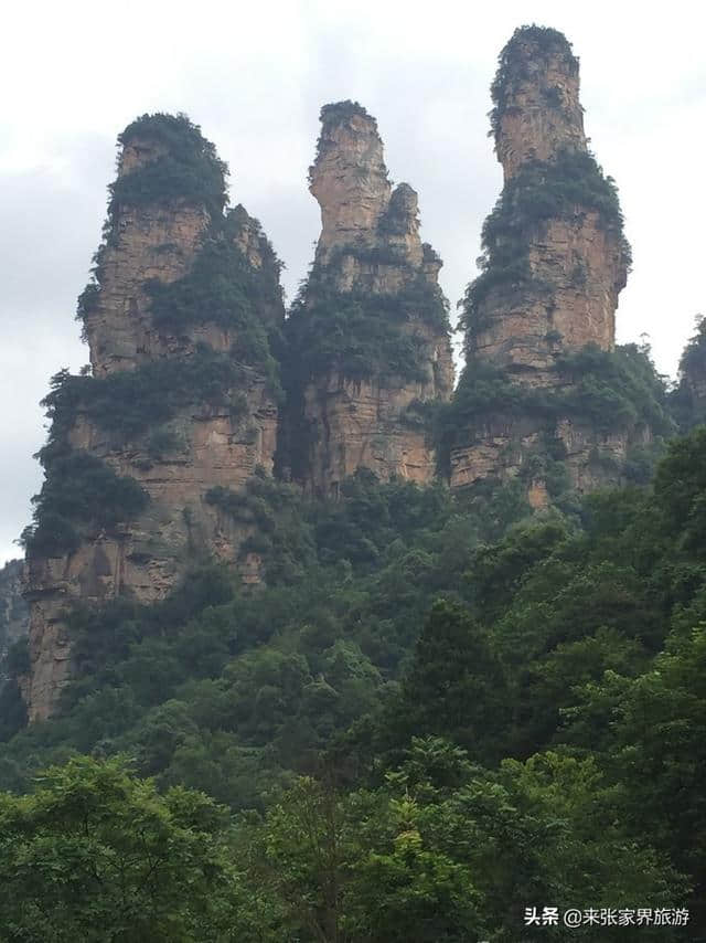 张家界森林公园+天门三日旅游攻略