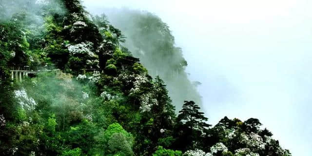 江西井冈山风景旅游区，带你走进井，冈山5个重点旅游小景点