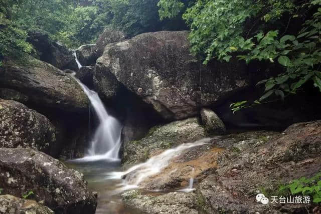 奇观丨天台发现一块神似观音的奇石，实在太像了……