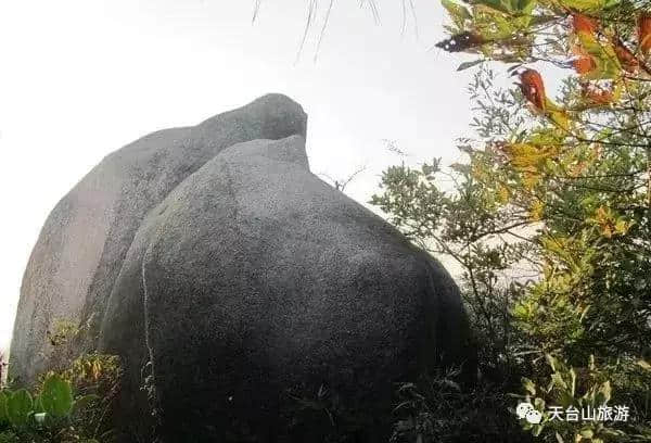 奇观丨天台发现一块神似观音的奇石，实在太像了……