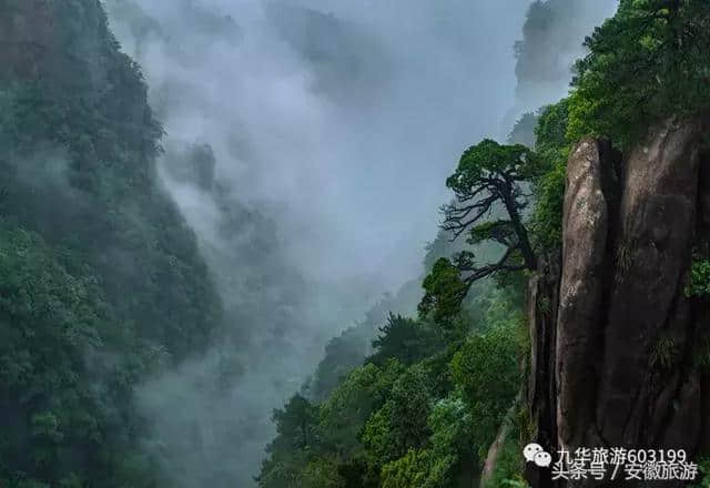 秀色可餐的九华山 这次真的“请”你吃大餐