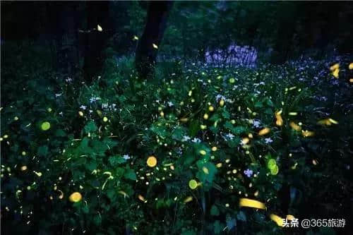 话说天台山儿时的记忆，夜游邛崃天台山的美景