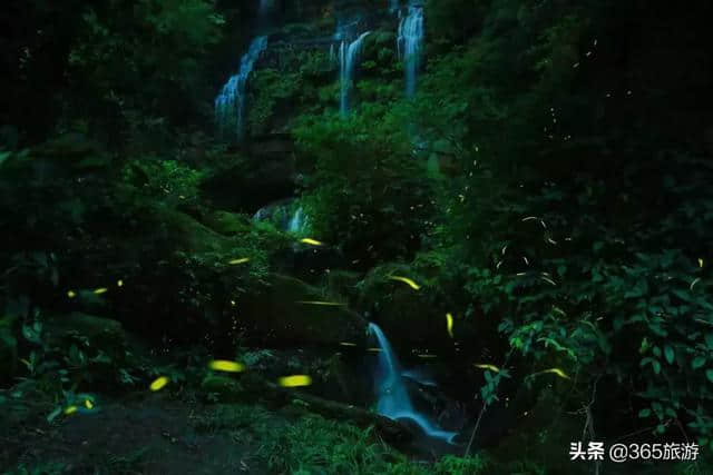 话说天台山儿时的记忆，夜游邛崃天台山的美景