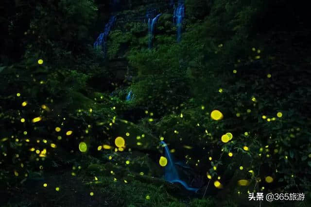 话说天台山儿时的记忆，夜游邛崃天台山的美景