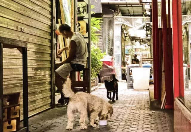 文青浪漫好去处｜游走大芬油画村，感受深圳最文艺气息的地方