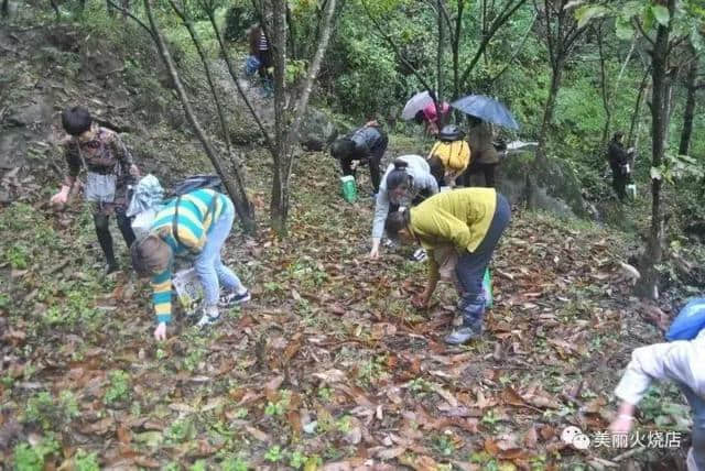 汉中旅游推荐线路：美丽乡村精品旅游线路