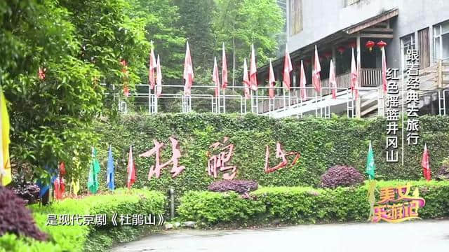 跟着经典去旅行｜走进红色摇篮井冈山 追寻那段红色岁月