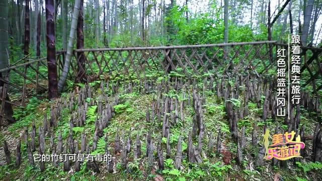 跟着经典去旅行｜走进红色摇篮井冈山 追寻那段红色岁月