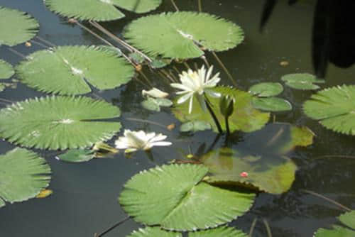 珠海博物馆——九洲城