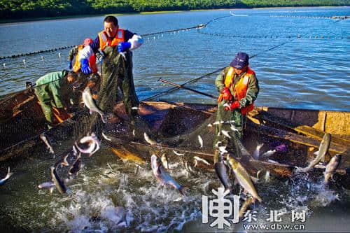 今年春夏出游镜泊湖 40款旅游新品带网友定位体验