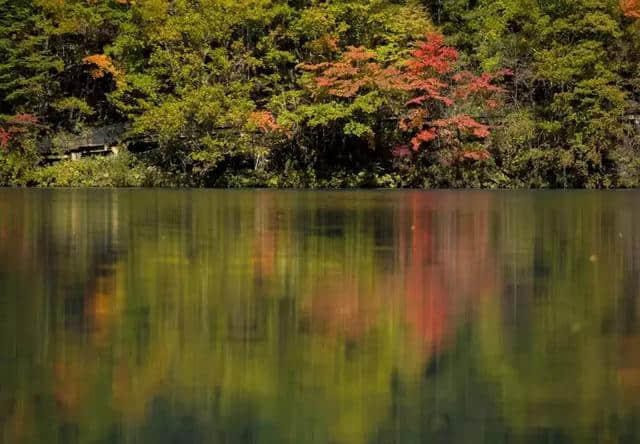 景区实景‖石家庄旅游好去处，这个周末就等你……