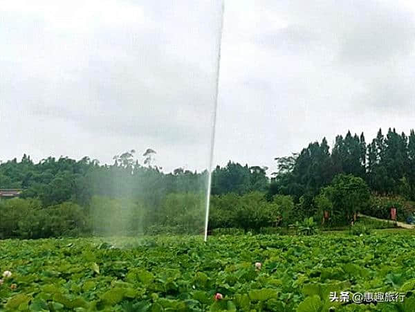 八月重庆游，周末两天打卡小众美景地，别有一番风味