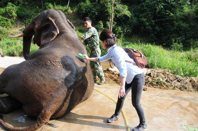 Zui爱版纳的冬日旅行