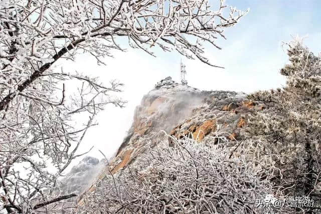 文旅丨踏春好时节，快来淄博这些地方洗洗肺吧！