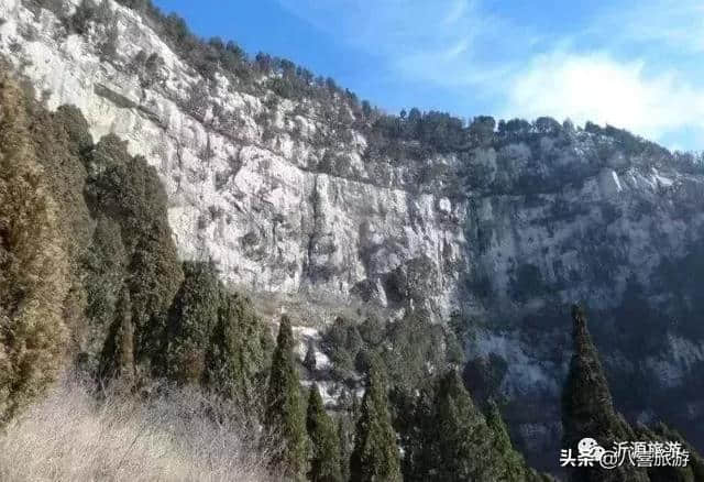 文旅丨踏春好时节，快来淄博这些地方洗洗肺吧！