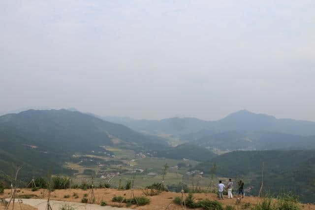 好山好水好风光，株洲县这三村要发了！