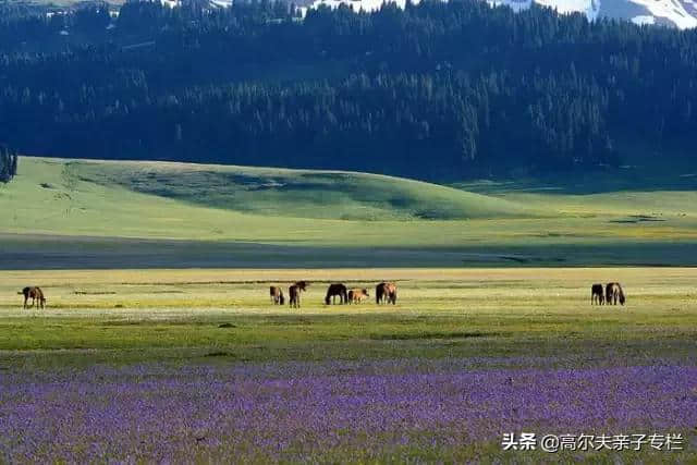 中国旅游景点排行榜 前30名里九寨沟只能排第二 第一谁都想不到