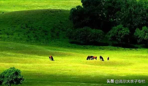 中国旅游景点排行榜 前30名里九寨沟只能排第二 第一谁都想不到