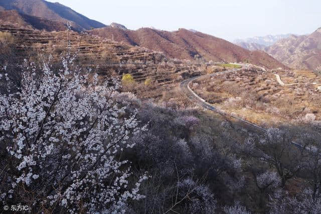 京郊旅行可以去这些地方，周末轻松出行！