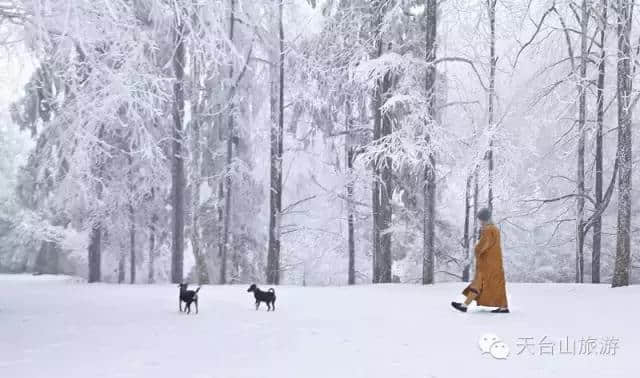 大家好，给大家介绍一下，这是我的女朋友天台山