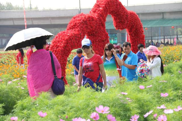 面朝花海 清风自来 “万亩花海”秋季旅游赏花节盛大开幕