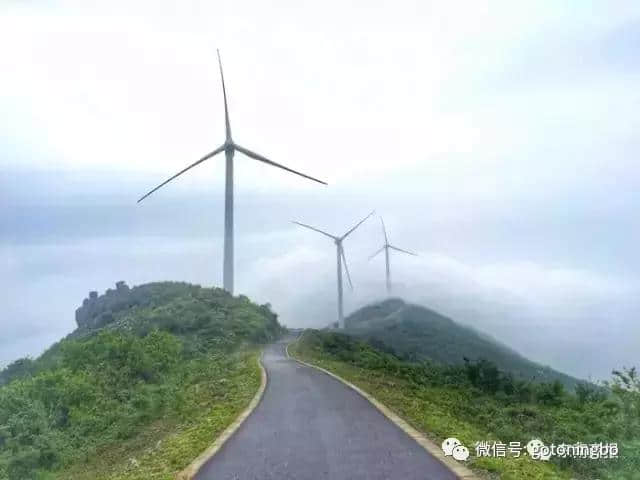 徒步、露营、日出、花海...盘点6条宁波绝美风车公路