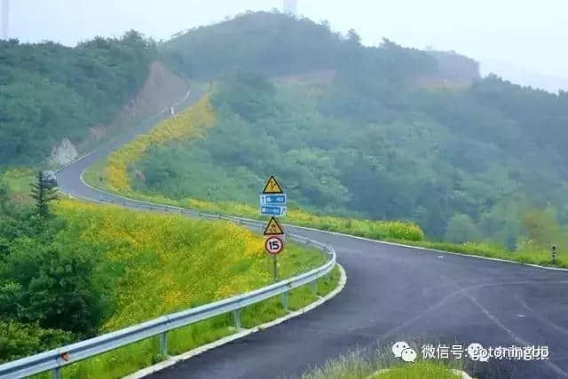 徒步、露营、日出、花海...盘点6条宁波绝美风车公路