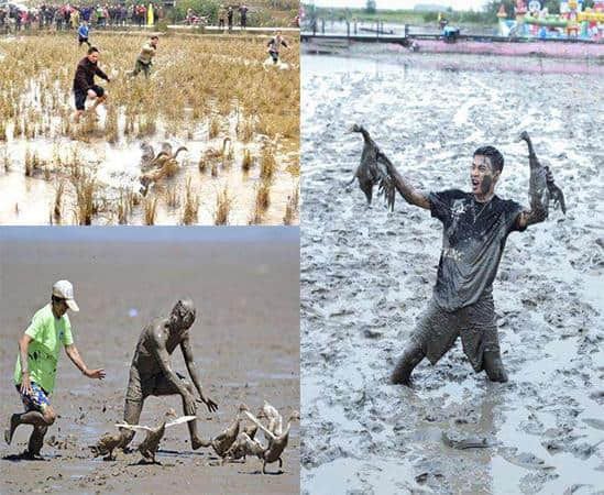 「宁化县客家传统文化旅游节」大戏开场——来大宁化体验不一样的客家丰收节吧……