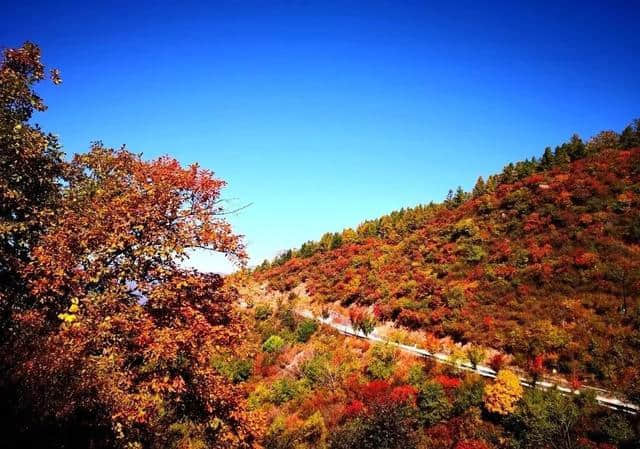 旅游攻略｜赏红叶倒计时！京西78公里“九寨沟”赏红看瀑布正是时候